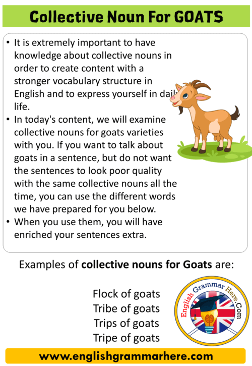 a poster with an image of a goat and the words collective nun for goats ...