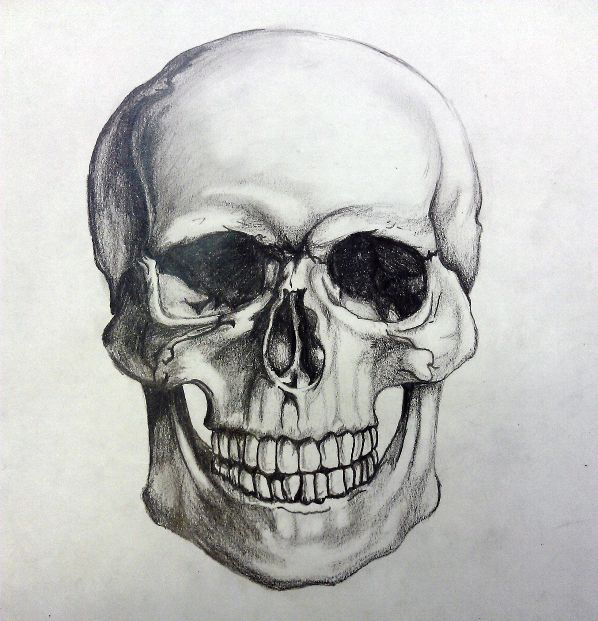 Skull As Level coursework Skull drawing, Skulls drawing, Skull sketch