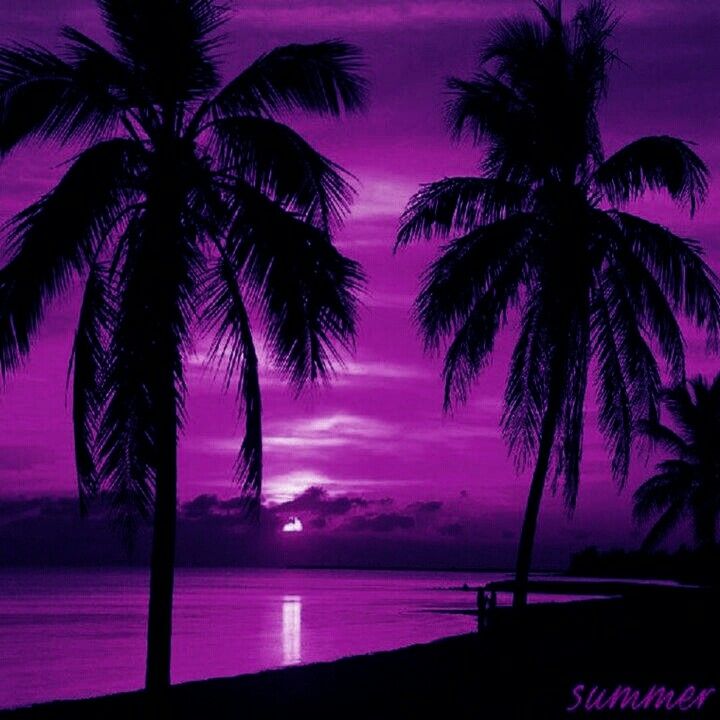 Purple sunset | Sunset nature, Pink sunset, Palm tree sunset