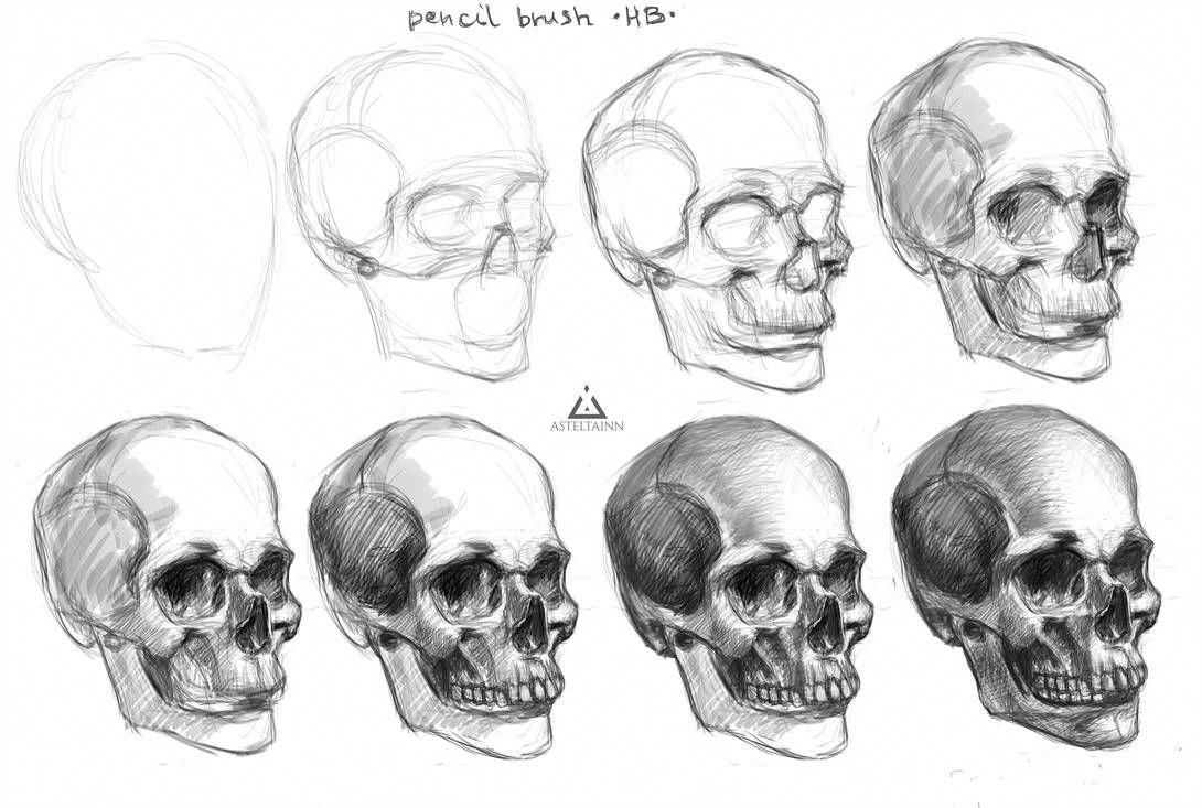 Skull (steps) by Asteltainn Skull art drawing, Skeleton drawings