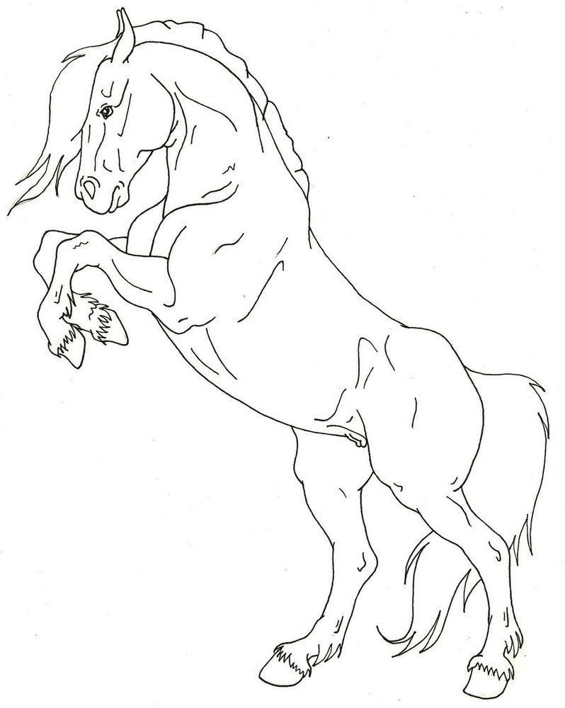 Rearing Horses Coloring Pages