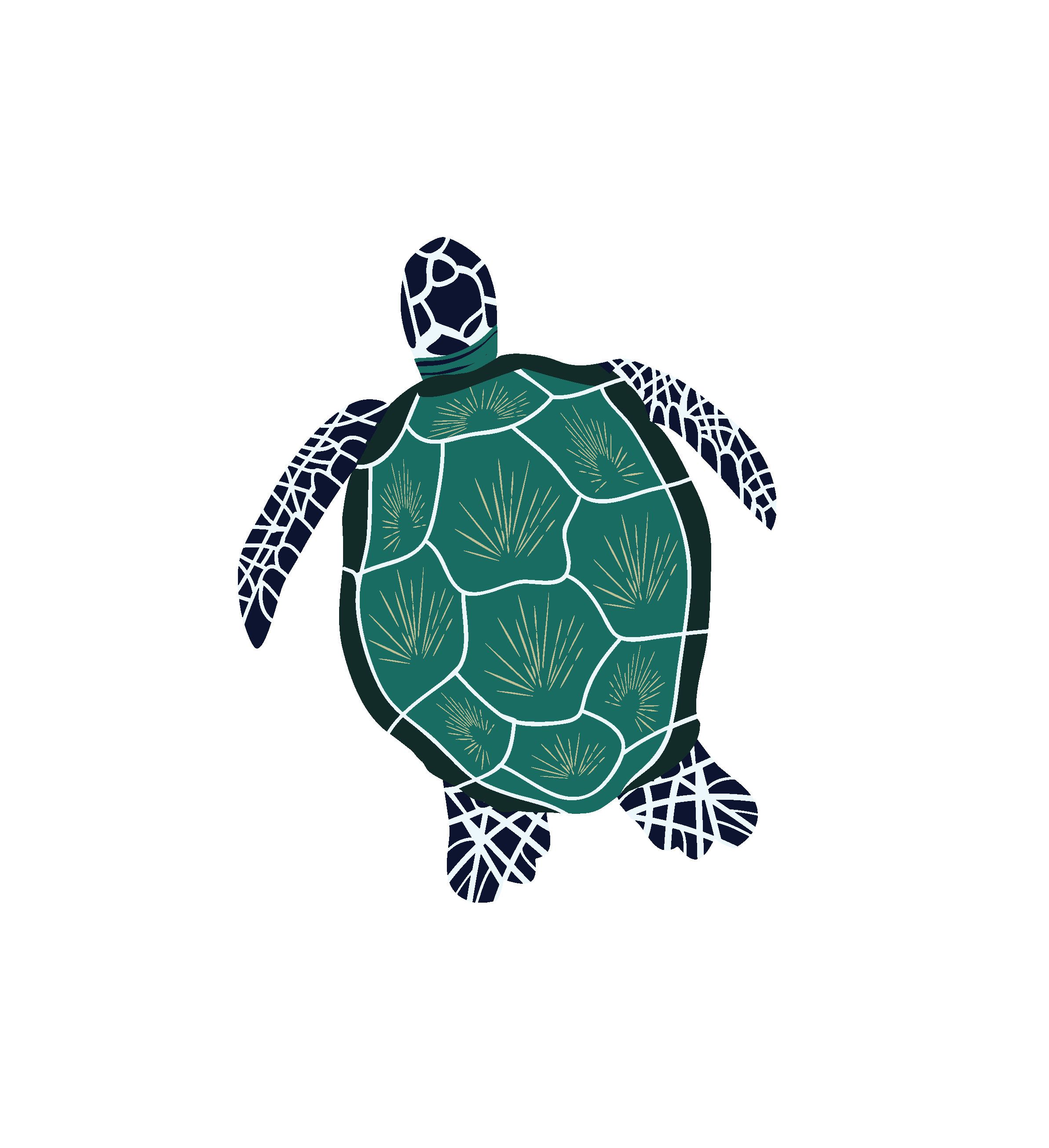 Simple Sea Turtle Svg image.