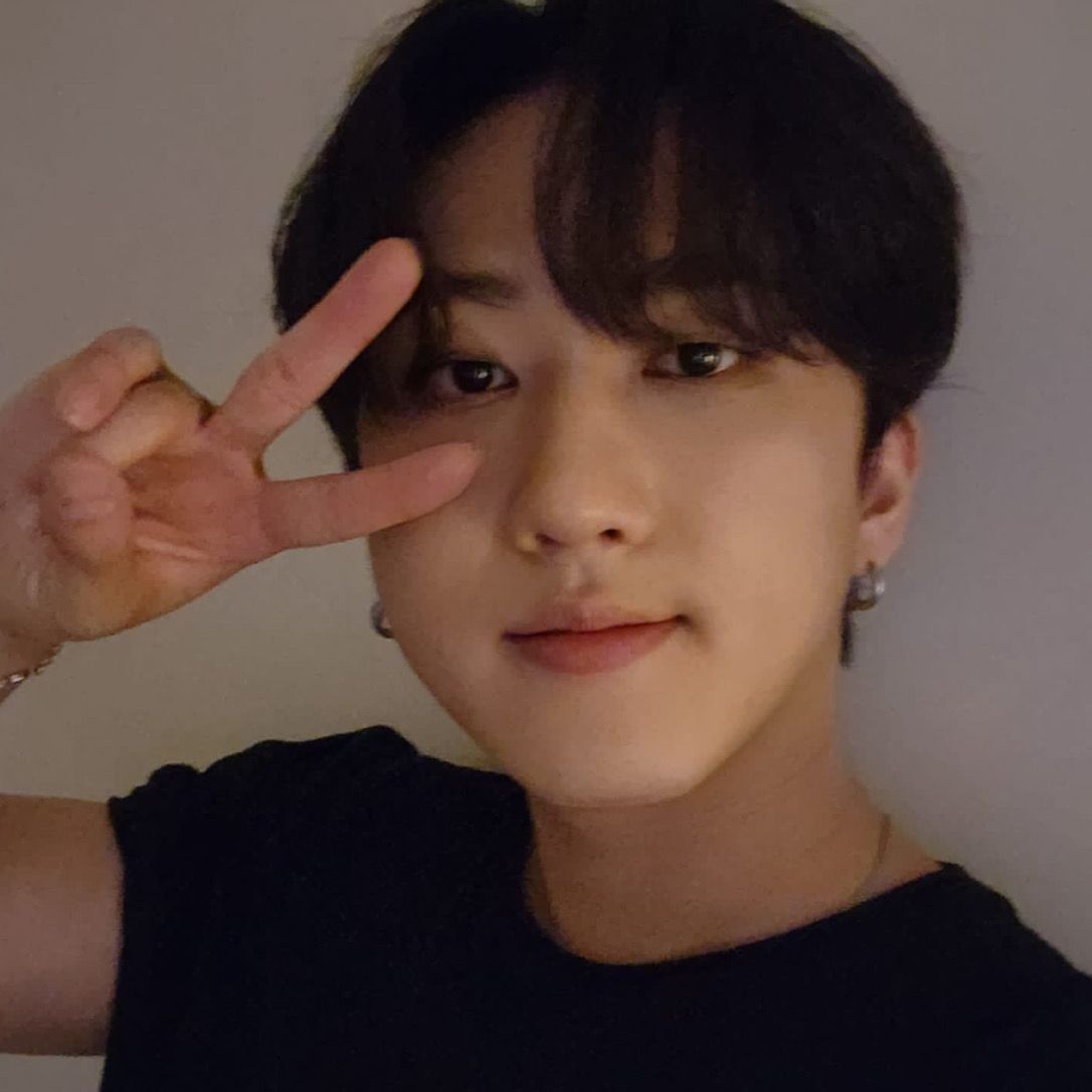 changbin icon kpop stray kids skz pfp #kpop #kpopicons in 2022 | Kids ...