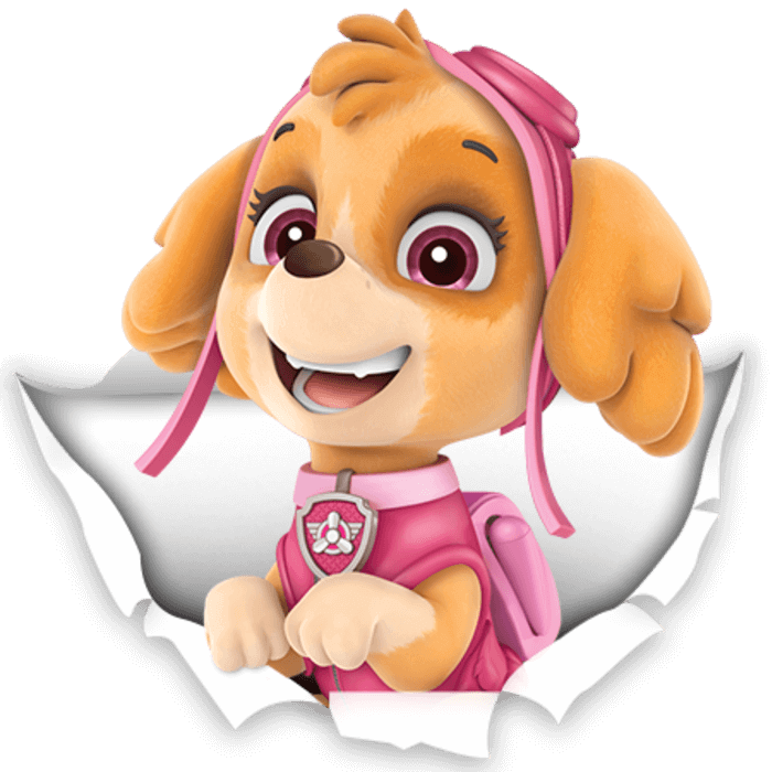 Paw Patrol Skye Png | Skye paw patrol, Paw patrol birthday, Paw patrol ...