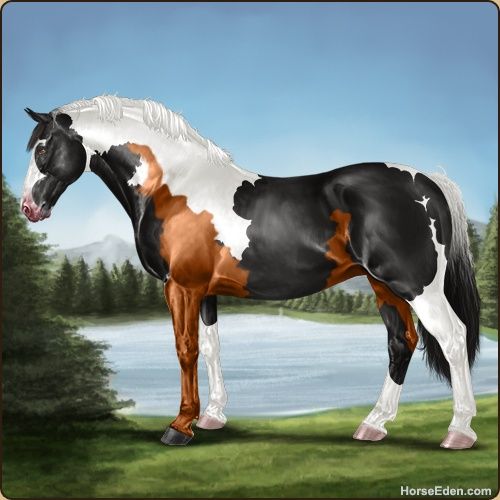 Horse Eden Eventing | Horses, Horse games, Horse art