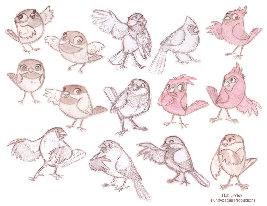 Bird drawings, Cartoon character design, Cartoon birds