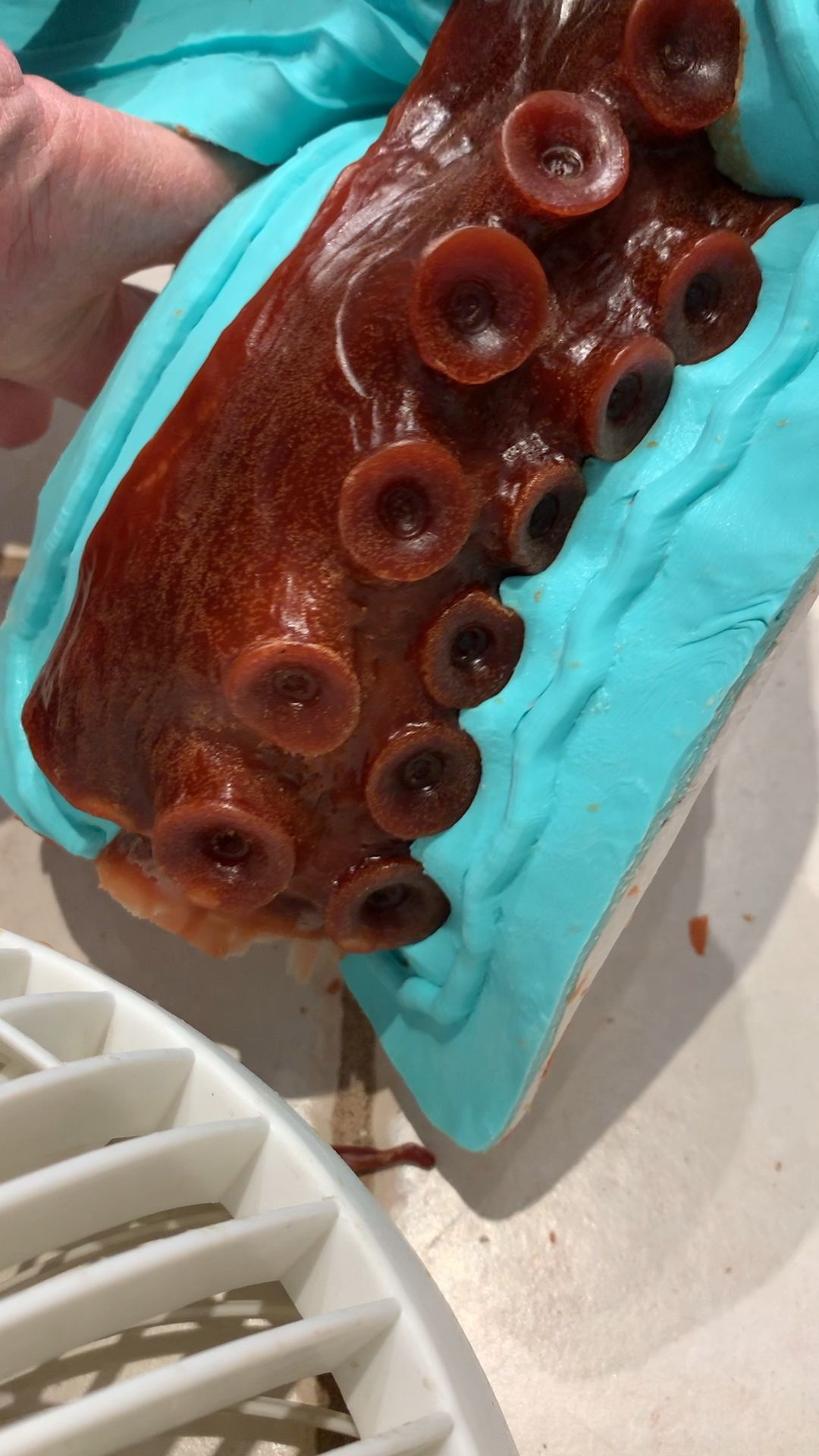 Opening mold, from a cooled wax pour of my octopus table. | Squid in ...