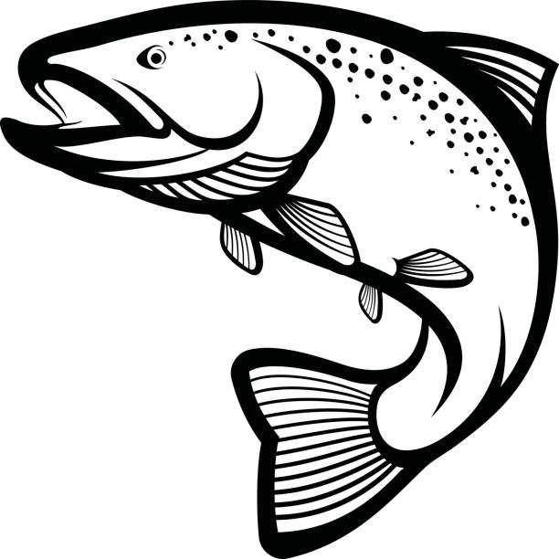 Cloudflare | Fish vector, Trout art, Trout