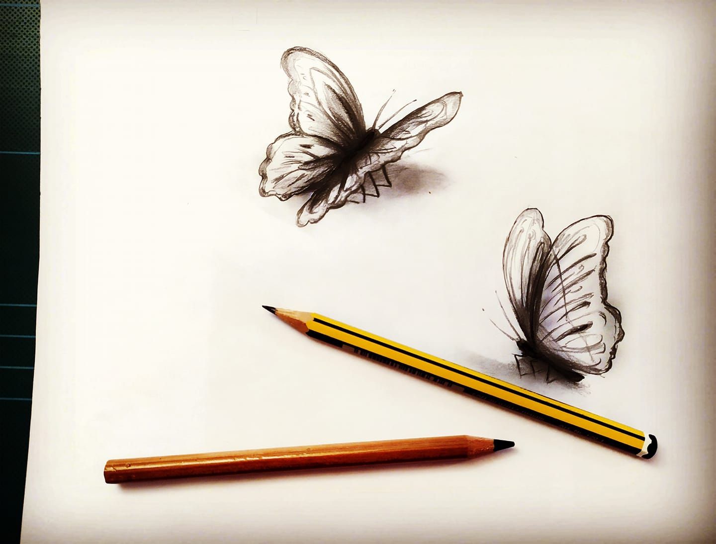 Butterly sketch Butterfly sketch Butterfly drawing Perspective art