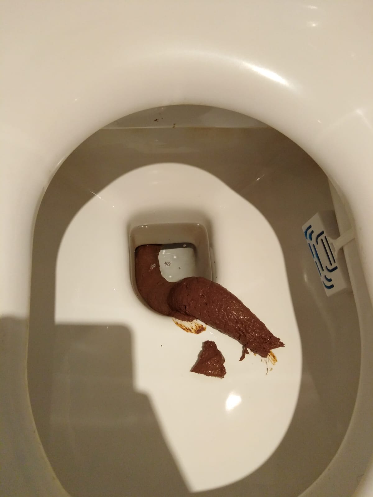 My longest shit ever! : r/poop