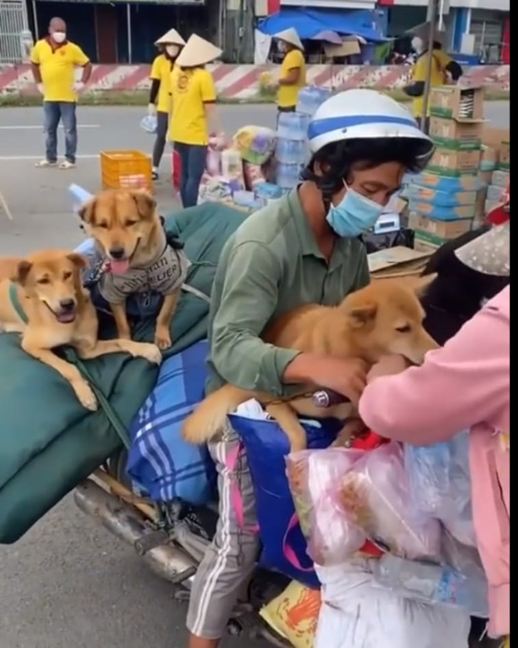 Thật đáng tiếc khi chúng ta phải chứng kiến những hình ảnh đau lòng về tình trạng bạo hành động vật, và Pitbull cũng không là ngoại lệ. Điều đó khiến chúng ta cần phải cảnh giác và cùng nhau bảo vệ các vị khách có bốn chân này.