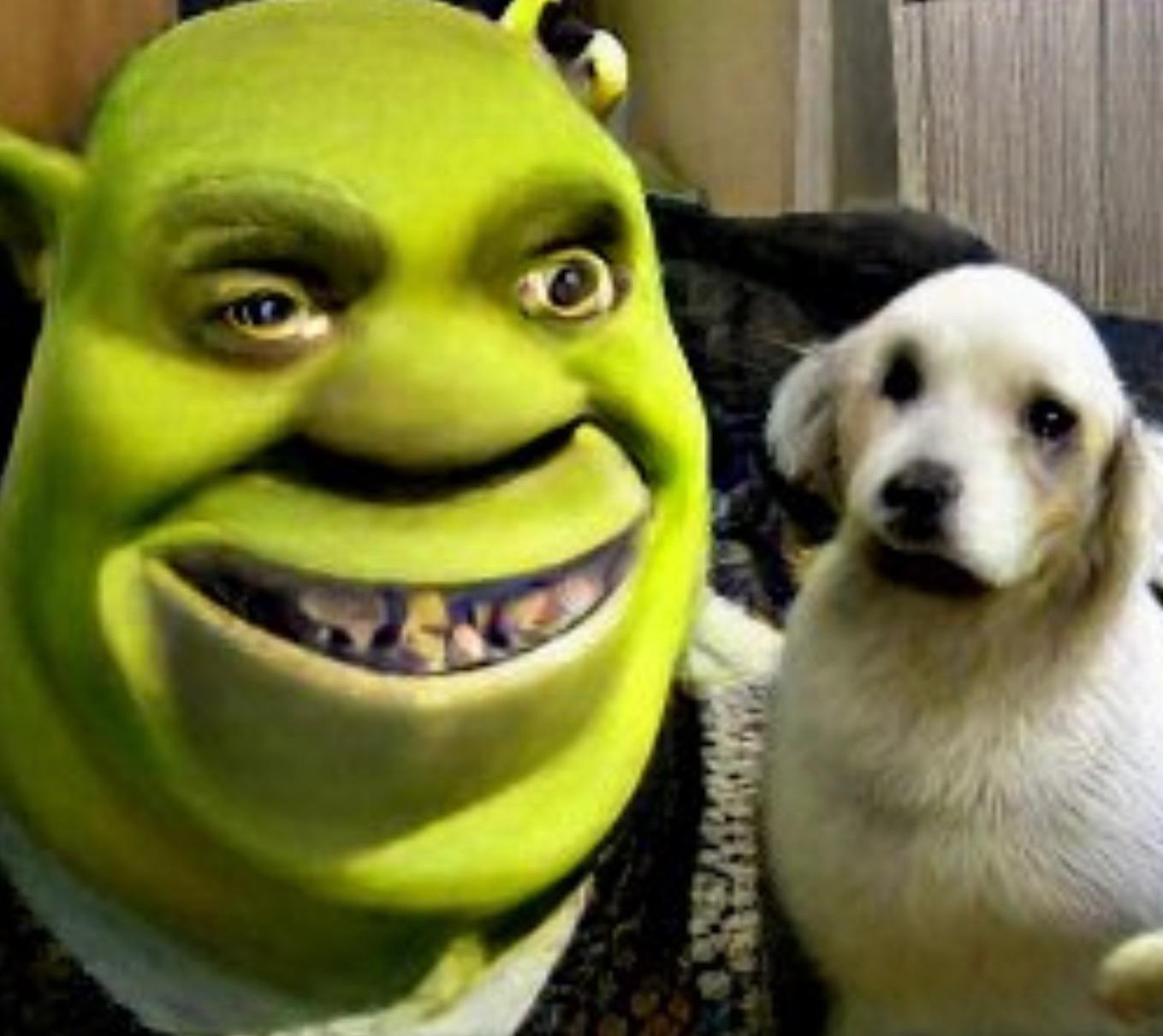 Shrek e vita Shrek e amore : PoggodoggoSI