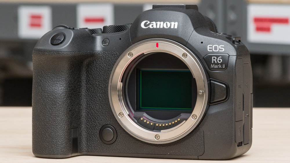 Canon EOS R6 Mark II Picture