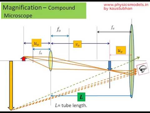 Microscope Magnification Calculation