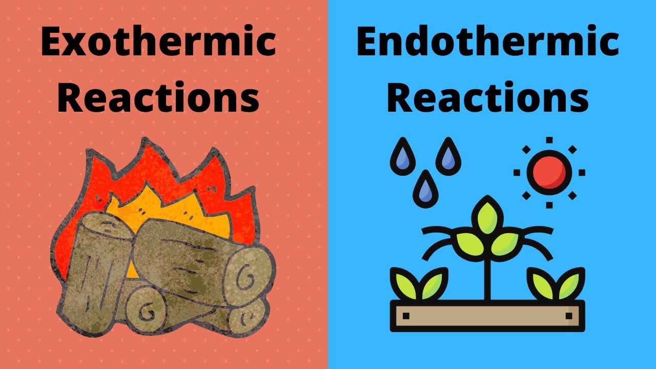 Endothermic Reaction Examples For Kids