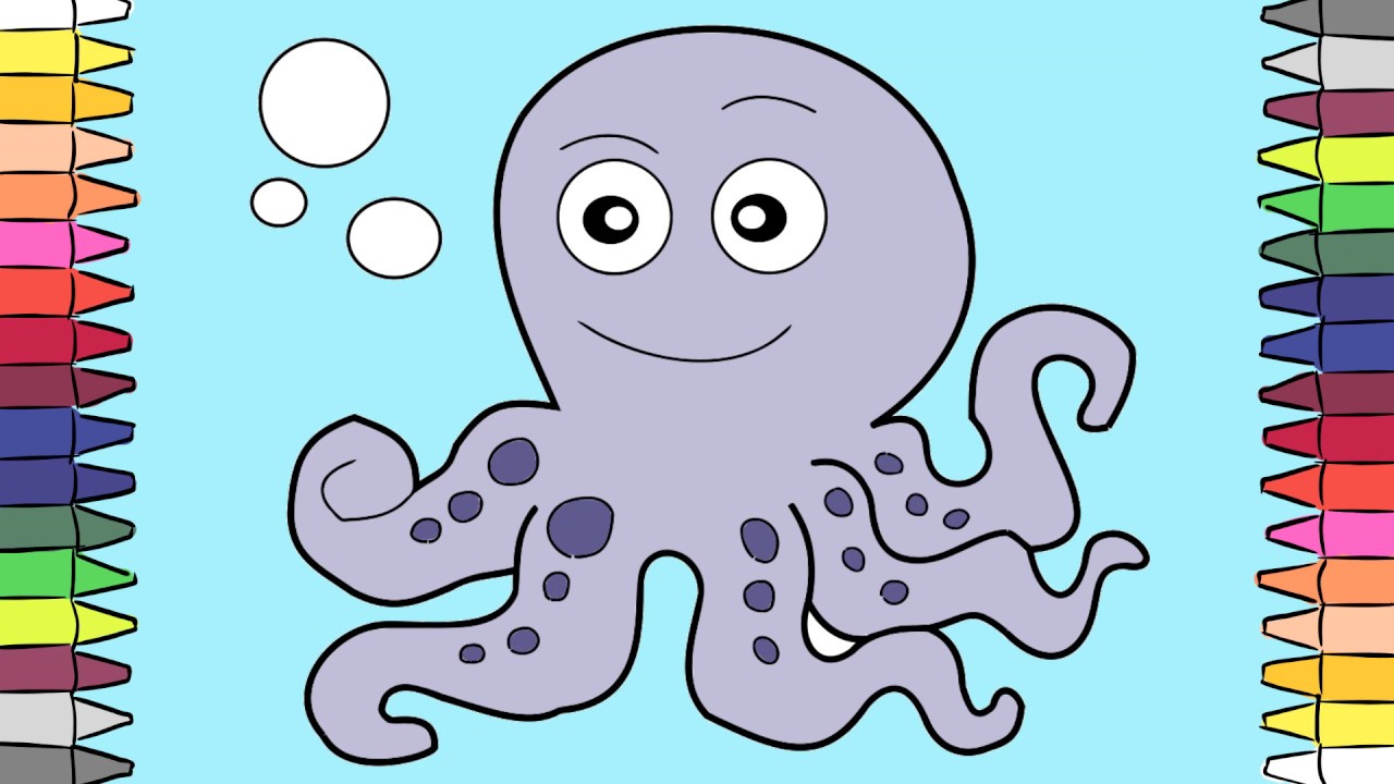 Baby Octopus | Draw & Color | Best Kids Channel - YouTube