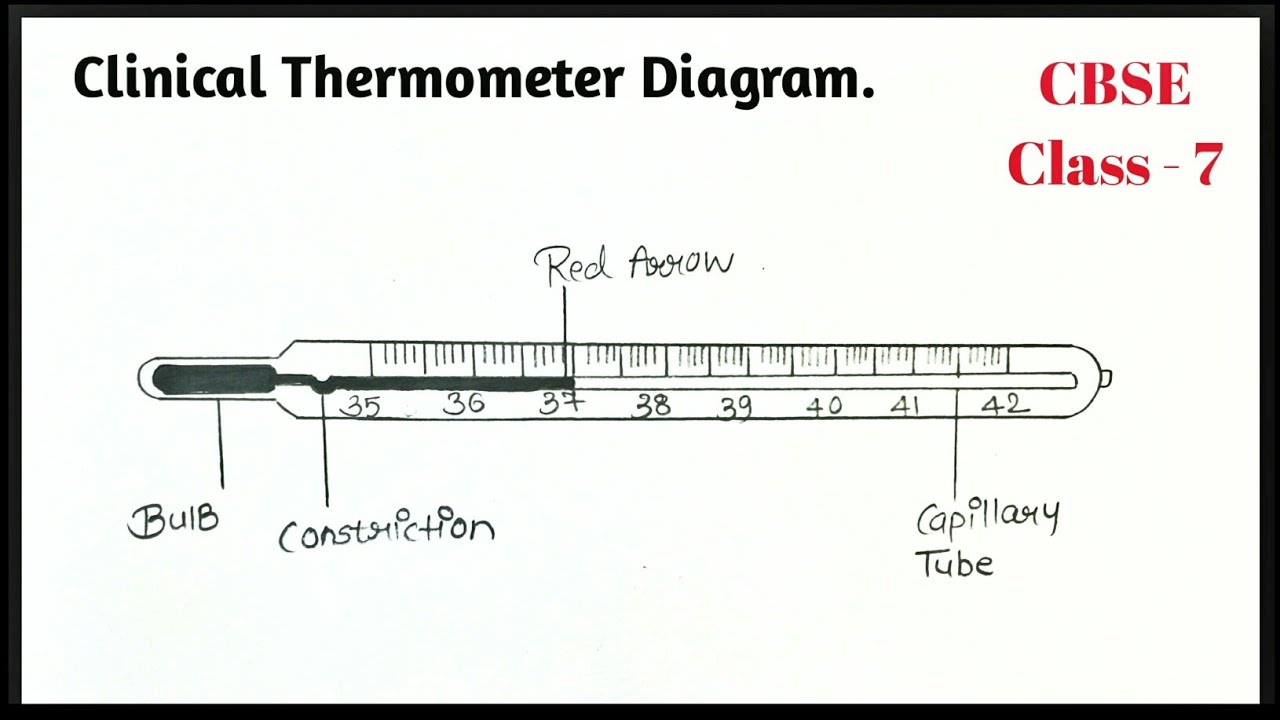 Digital Clinical Thermometer Circuit Diagram