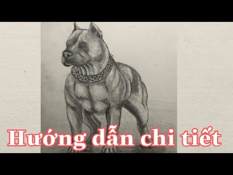 Chú chó Pitbull đáng yêu và thân thiện sẽ làm hài lòng trái tim của bất kỳ ai yêu động vật. Hãy xem hình ảnh để khám phá vẻ đẹp đáng yêu của thành viên cưng trong gia đình của bạn.