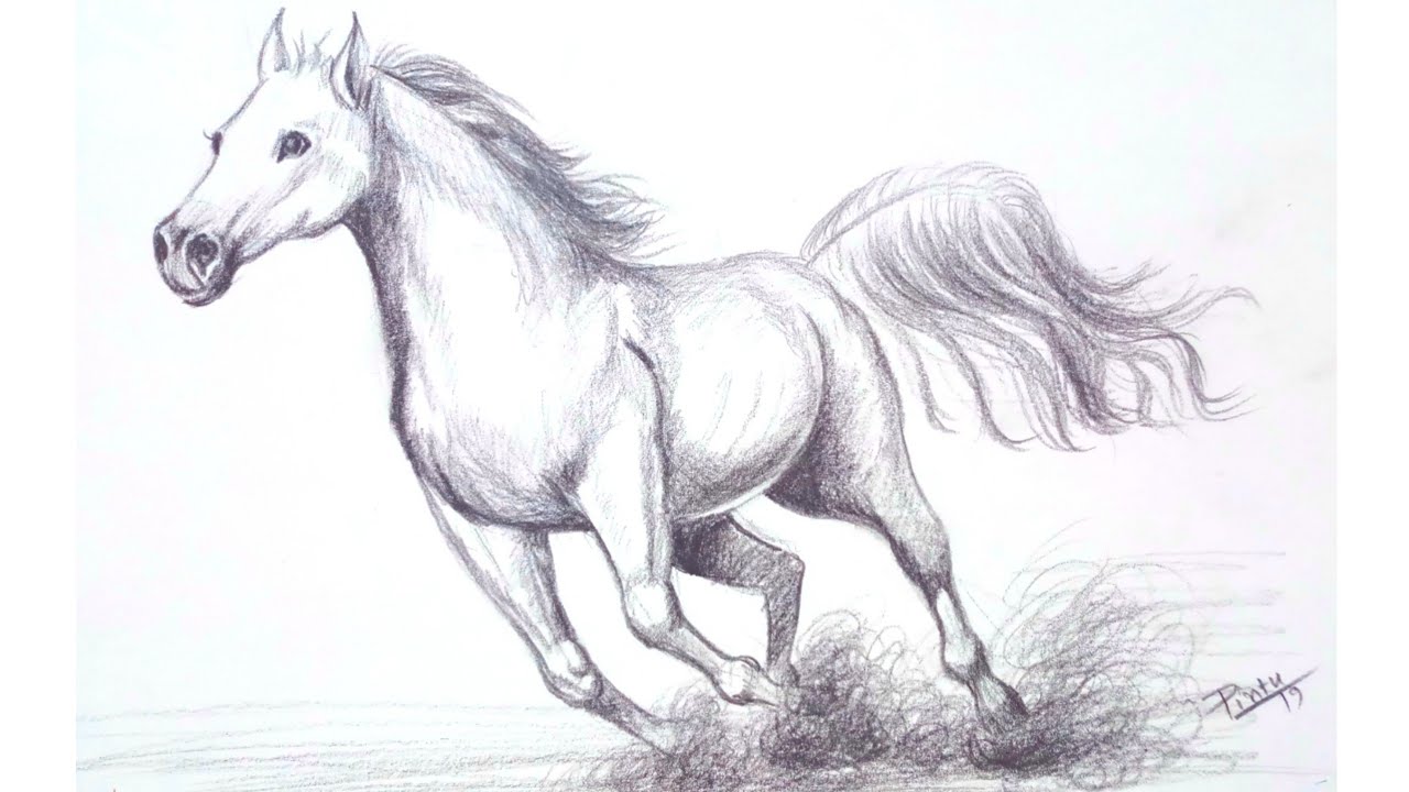 Incredible Compilation of 999+ Stunning Horse Drawings - Complete Set ...