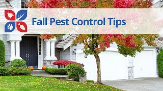 Fall Pest Control Tips