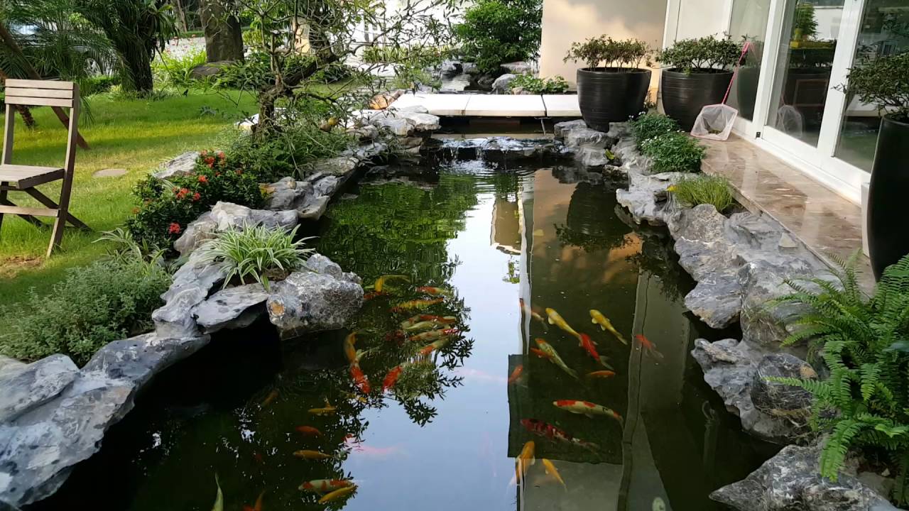 Koi pond - YouTube