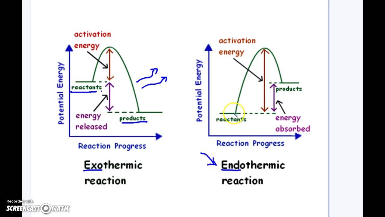 Exothermic Vs Endothermic Diagram