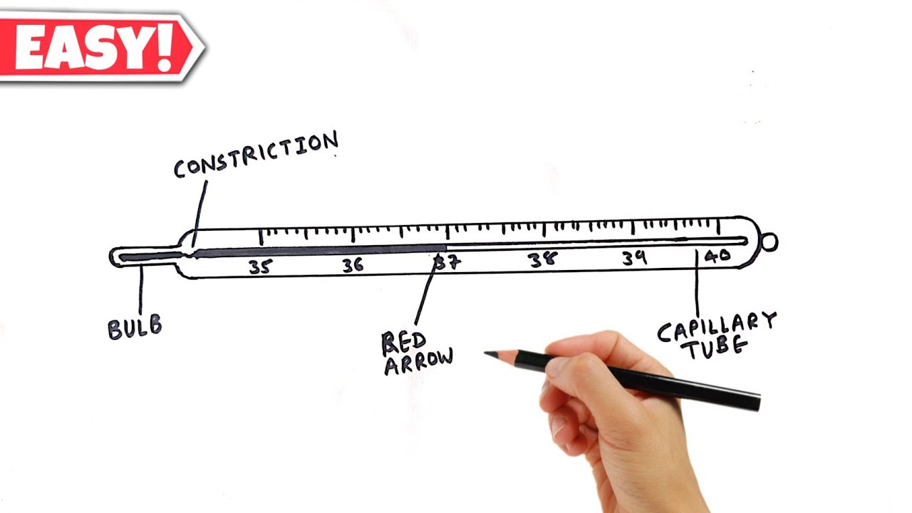 Lab Thermometer Drawing