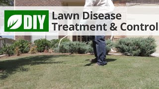 DIY Lawn Disease Control Videos