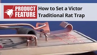 Victor Mouse Trap M040 Review