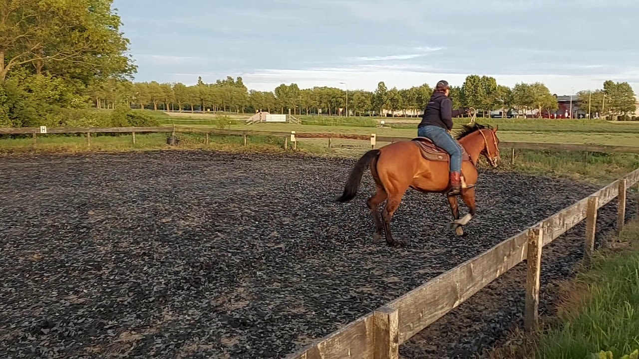 Ranch riding amateur wcrh showdown - YouTube