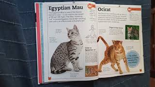 Egyptian Mau, Ocicat | Fun Facts About Cats