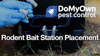 How to Place Outdoor Rodent Bait Stations