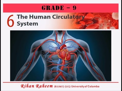 GRADE- 9 CIRCULATORY SYSTEM SEMINAR | PART 1 - YouTube