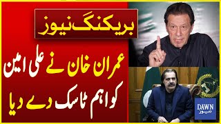 عمران خان کی علی امین کو اہم ٹاسک دے دیا