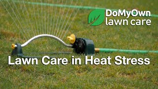 Summer Lawn Care Videos