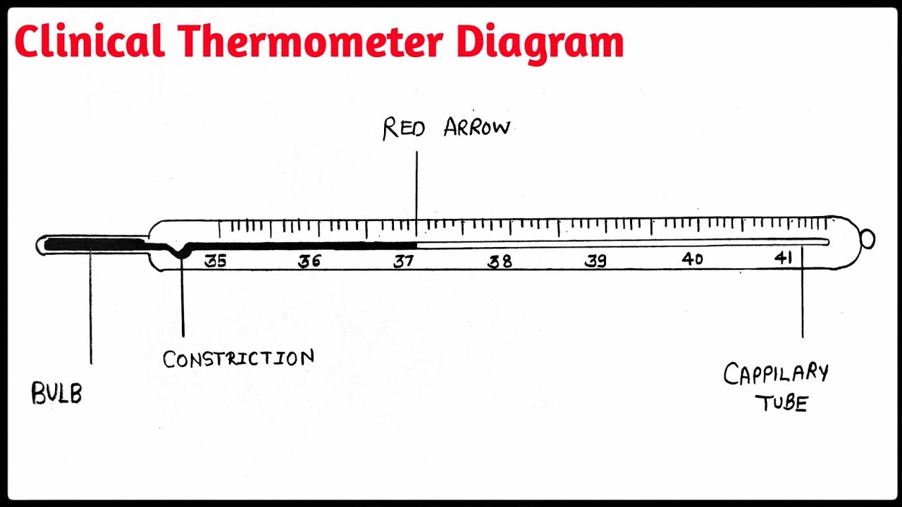 Lab Thermometer Drawing