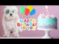 Cute Dogs Sing Happy Birthday Song...