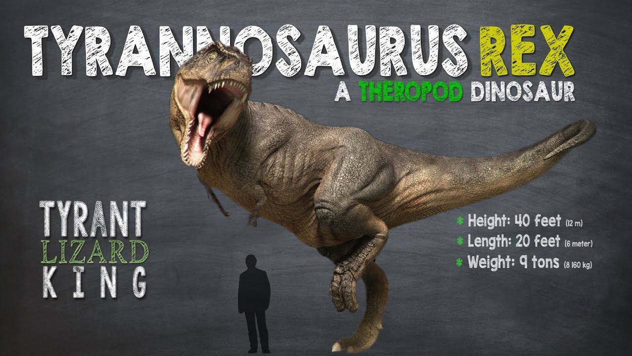 Tyrannosaurus Rex Facts