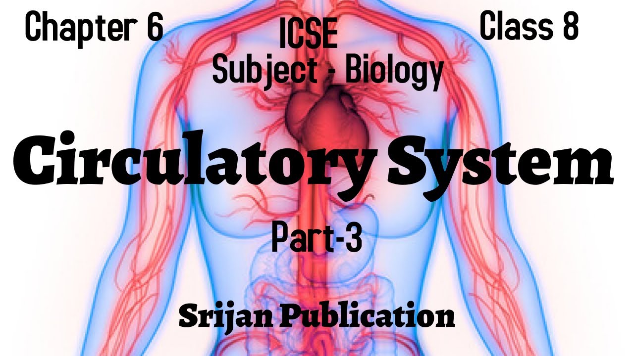 ICSE |Biology| Class 8| Chapter 6| Circulatory System |Part 3 - YouTube