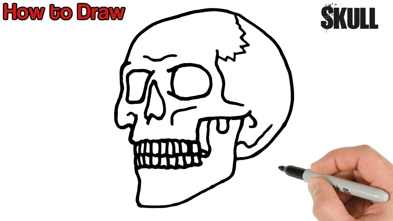 How to Draw a Skull Step by Step | Art Tutorial - YouTube