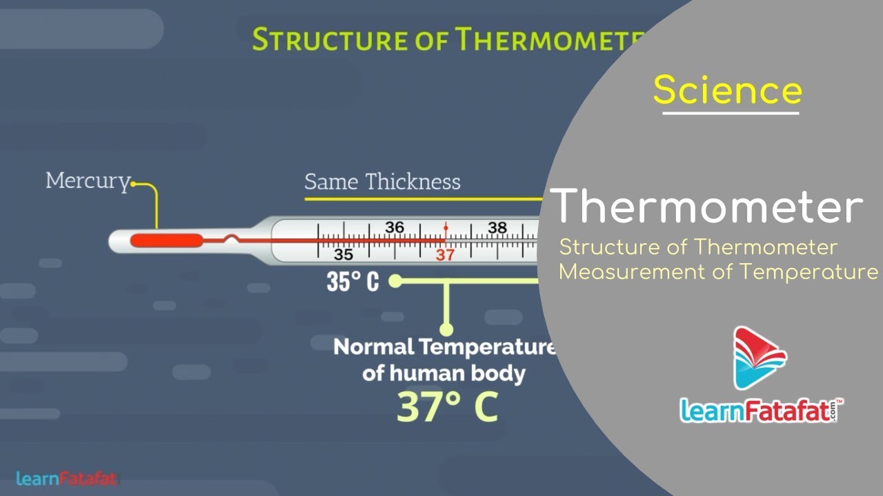 Class 7 Drawing Diagram Clinical Thermometer Diagram