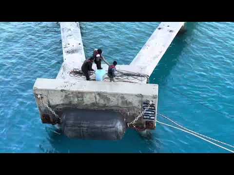 Nieuw Statendam arrives at Royal Navy Dockyard in Bermuda - YouTube