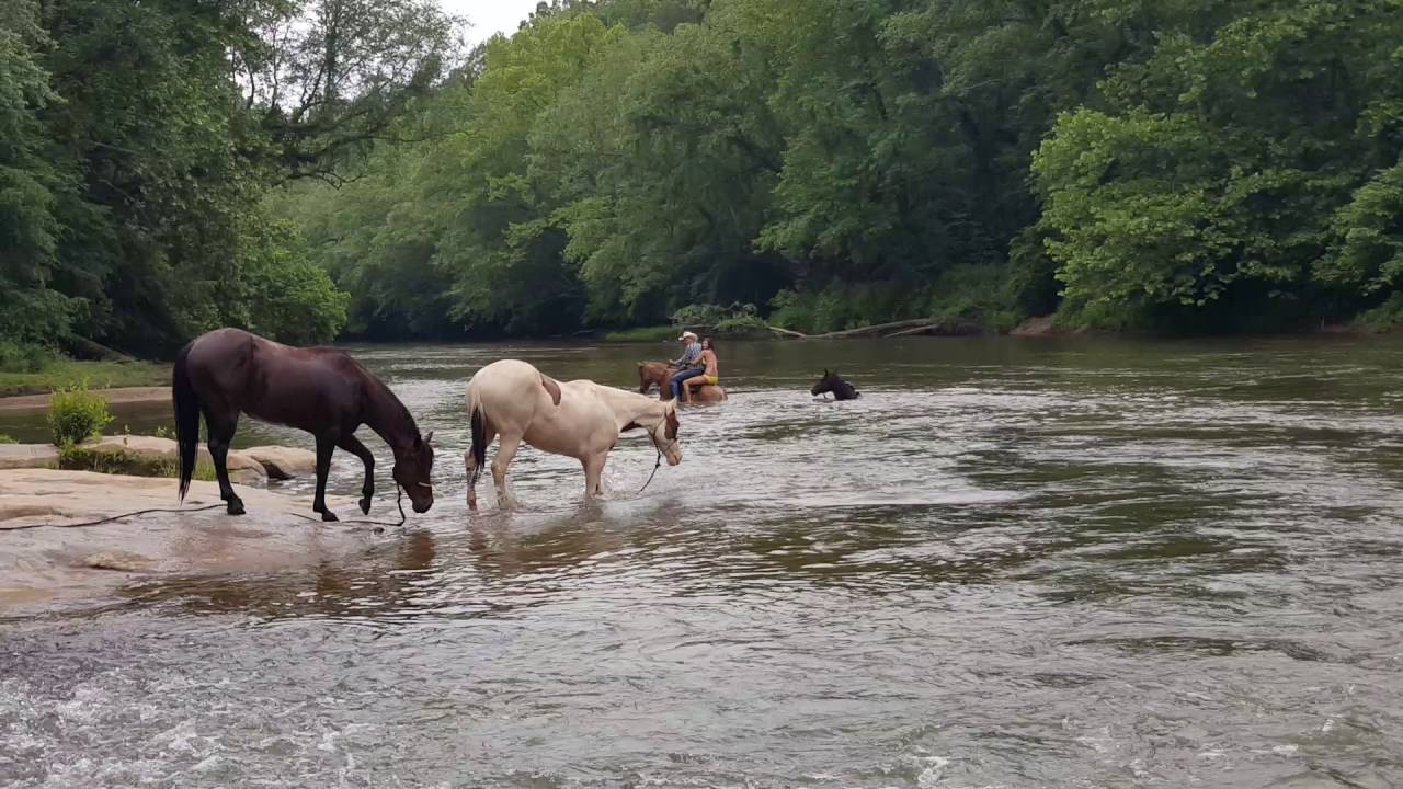 This is how a cowboy rides away!! (With the girl)...... - YouTube