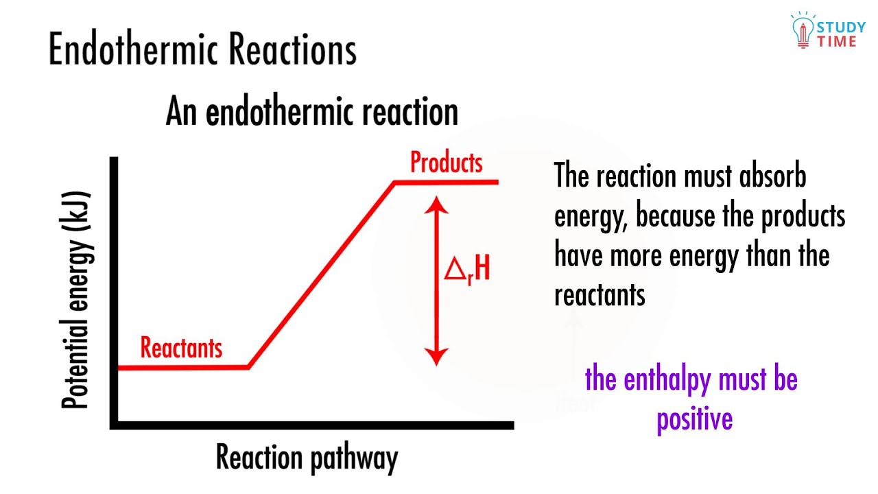 Exothermic Vs Endothermic Reaction Graph