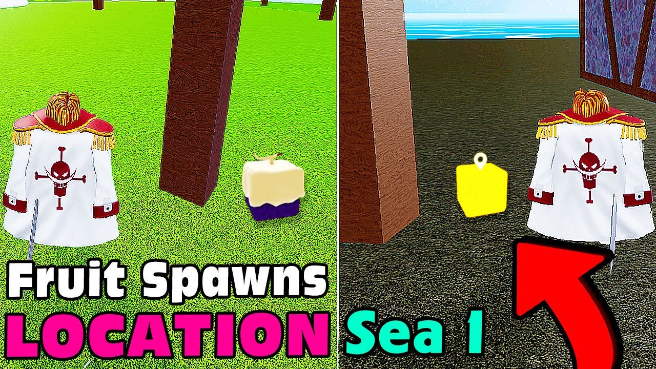 How To Find All Fruit Spawn Locations In Sea 1 Blox Fruits Youtube - Riset