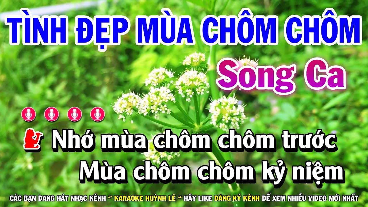 Bài hát Karaoke 20 năm tình đẹp mùa chôm chôm song ca Đầy cảm xúc và ý nghĩa