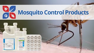 Mosquitoes  Videos