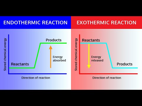 Grade 12 Physical Sciences: Endothermic Reactions & Exothermic ...