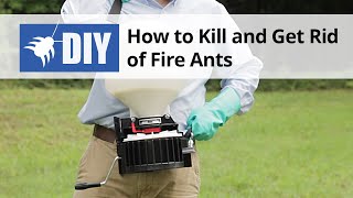 How to Kill & Get Rid of Fire Ants - Fire Ant Control & Treatment Instructions 