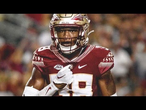 Shyheim Brown 2023 FSU Highlights - YouTube